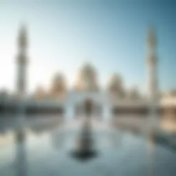 A stunning view of the Sheikh Zayed Grand Mosque