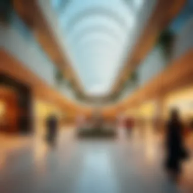 Interior Layout of Silicon Oasis Avenue Mall Interior layout highlighting the vibrant shopping experience at the mall